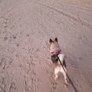 Meet your Posher, Marci